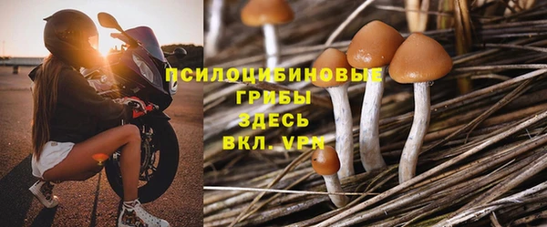 ПСИЛОЦИБИНОВЫЕ ГРИБЫ Аркадак