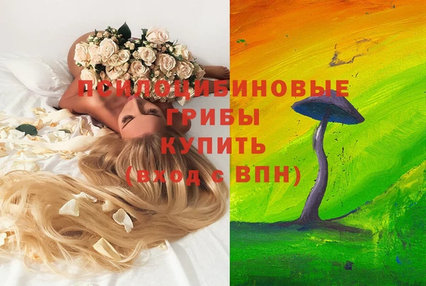 apvp Арсеньев