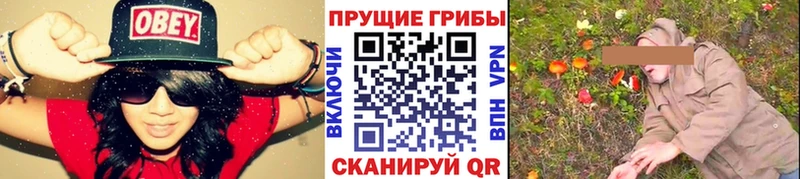 Псилоцибиновые грибы GOLDEN TEACHER  Купить закладки  Ефремов 